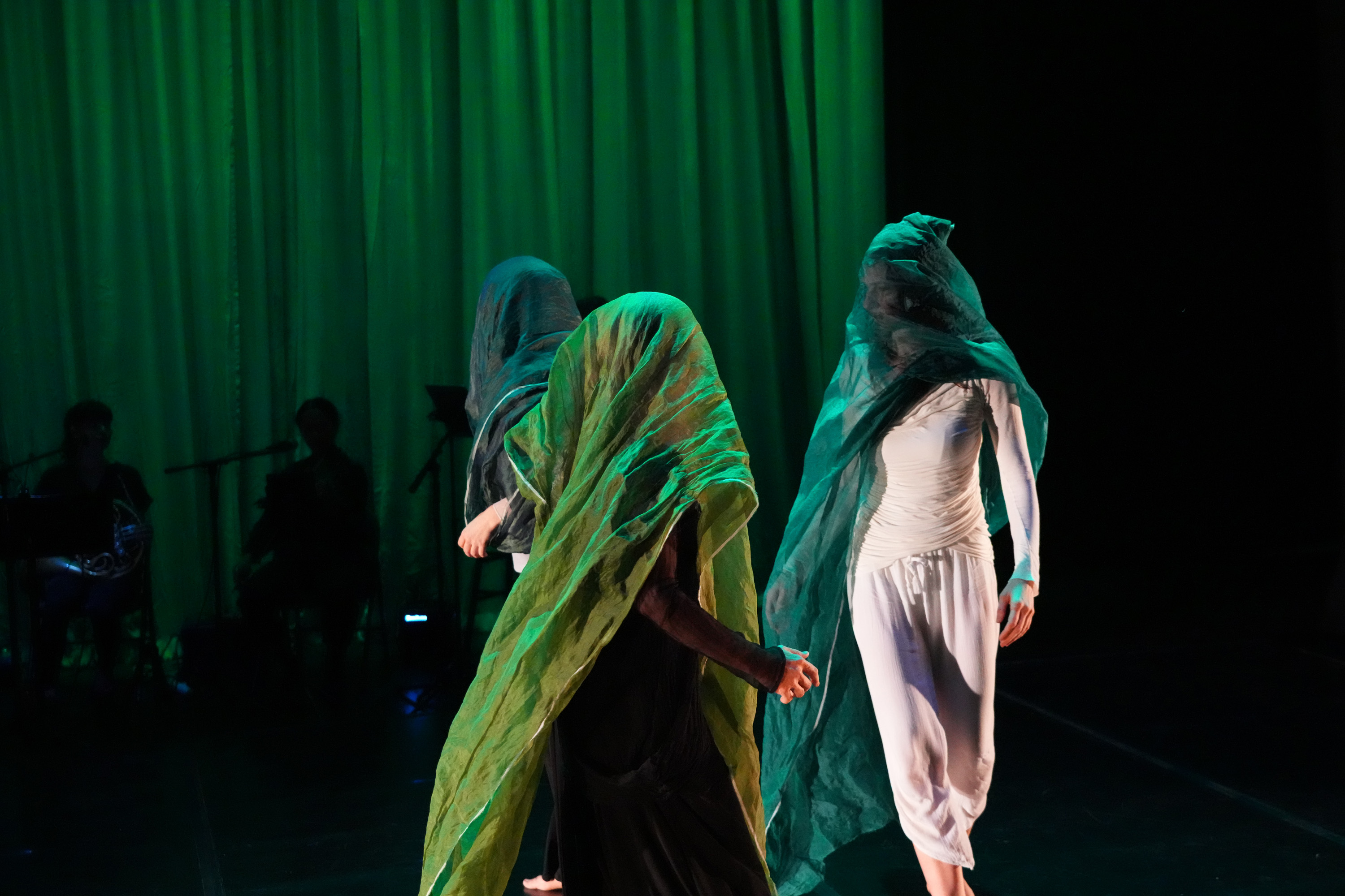 "Laminaria" photo: Steven Pisano