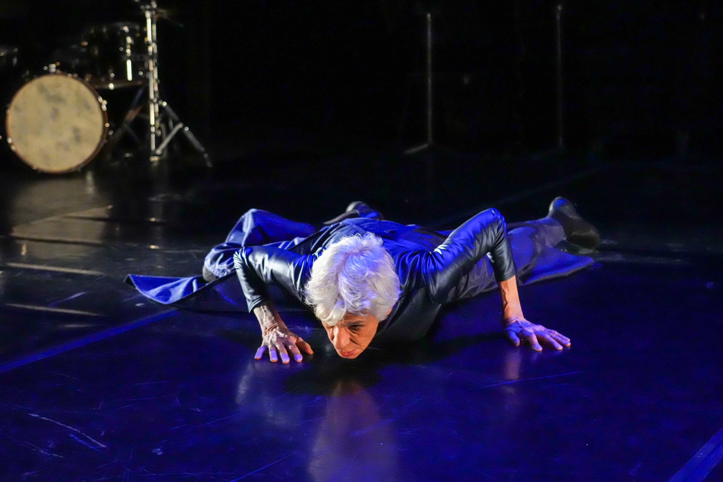 "Laminaria" photo: Steven Pisano